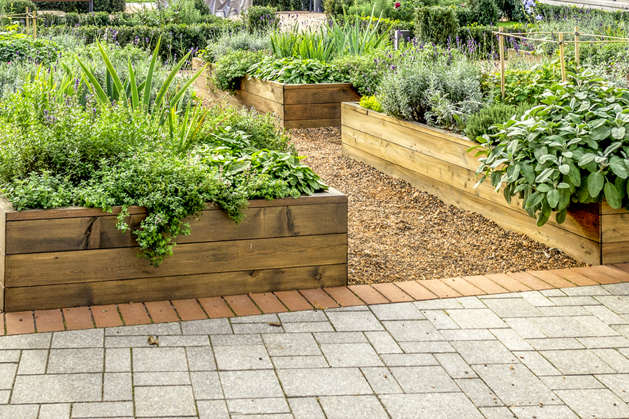 Boxed gardens for neat outdoor space