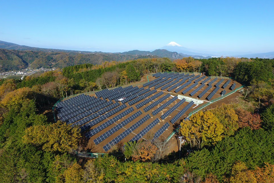 Solar panels at a solar plant