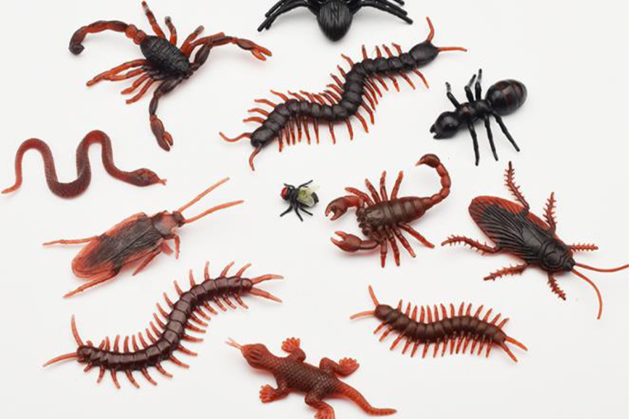 Fake rubber insects in various models such as cockroaches, centipedes, and spiders