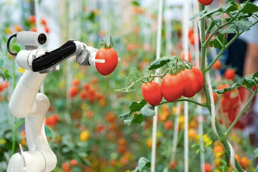 Smart farming means increased productivity and lower costs in agriculture