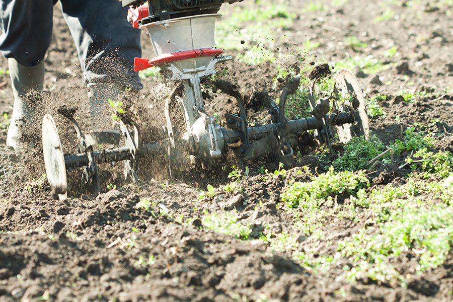 A man using a manual cultivator to prepare the soil