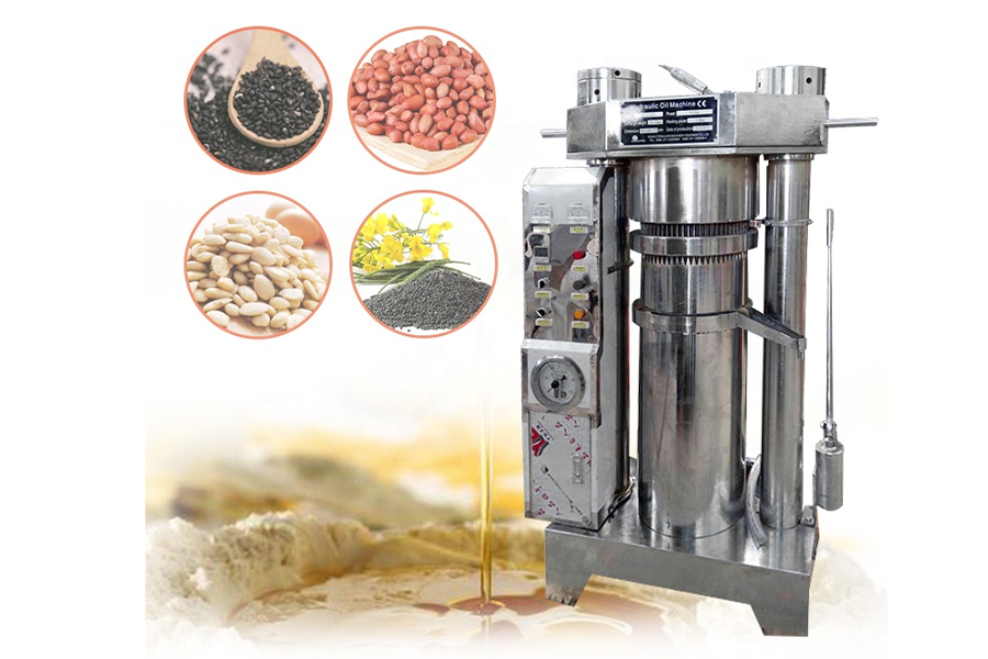 Hydraulic cold press machine for oil extraction