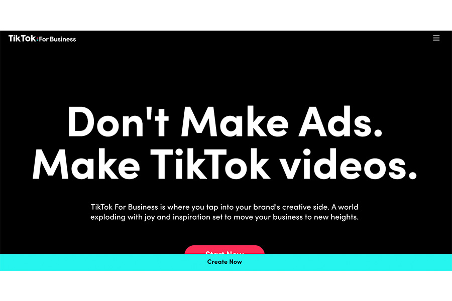 Homepage banner for TikTok business users