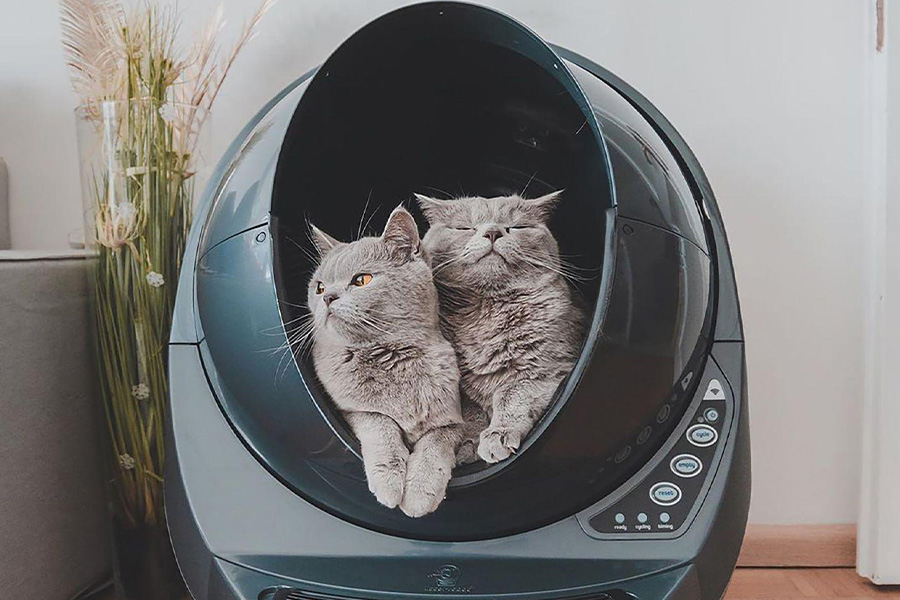 A robot litter box with two cats inside