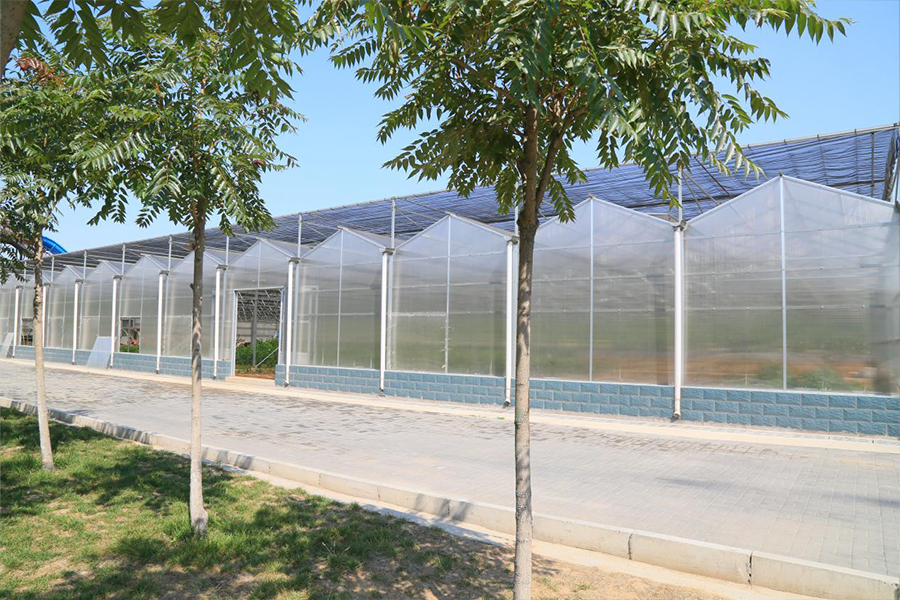 Anti-condensation twin-wall polycarbonate for greenhouses