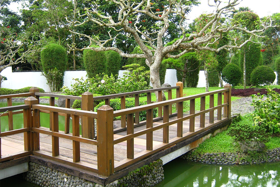Deck path on top of a pond