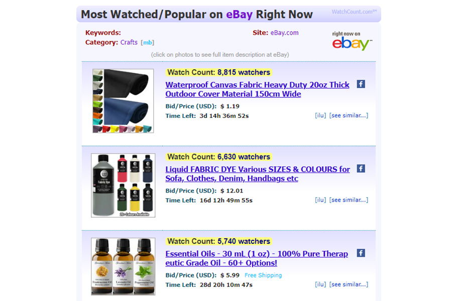 Homepage of eBay’s Watch Count tool