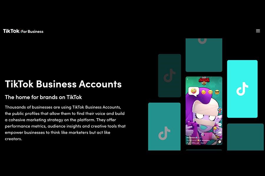 Screenshot of TikTok business account home page