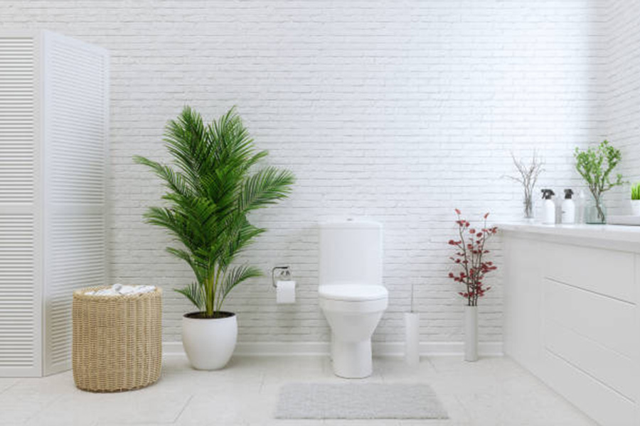 White toilet in an all-white bathroom with plants