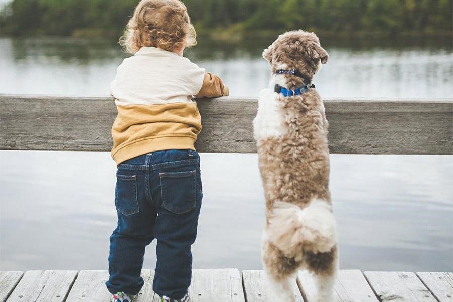 Kid in jeans by a river with a dog