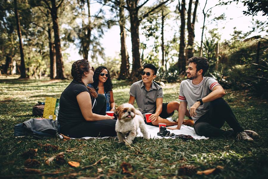 A group of friends meeting for a picnic