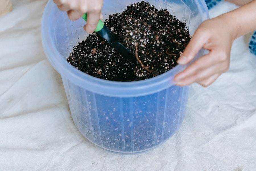 Anonymous person placing soil in a plastic pot
