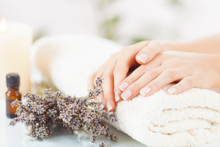 Female hands next to lavender plant and aromatherapy oil
