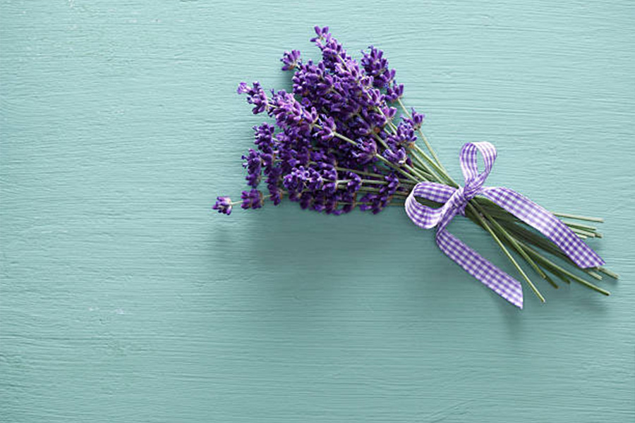 Small bundle of lavender tied with purple and white ribbon