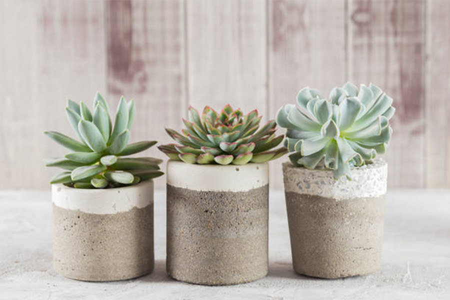 Three small artificial succulents sitting in rustic pots