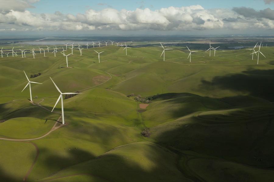 field of wind turbines generating sustainable energy