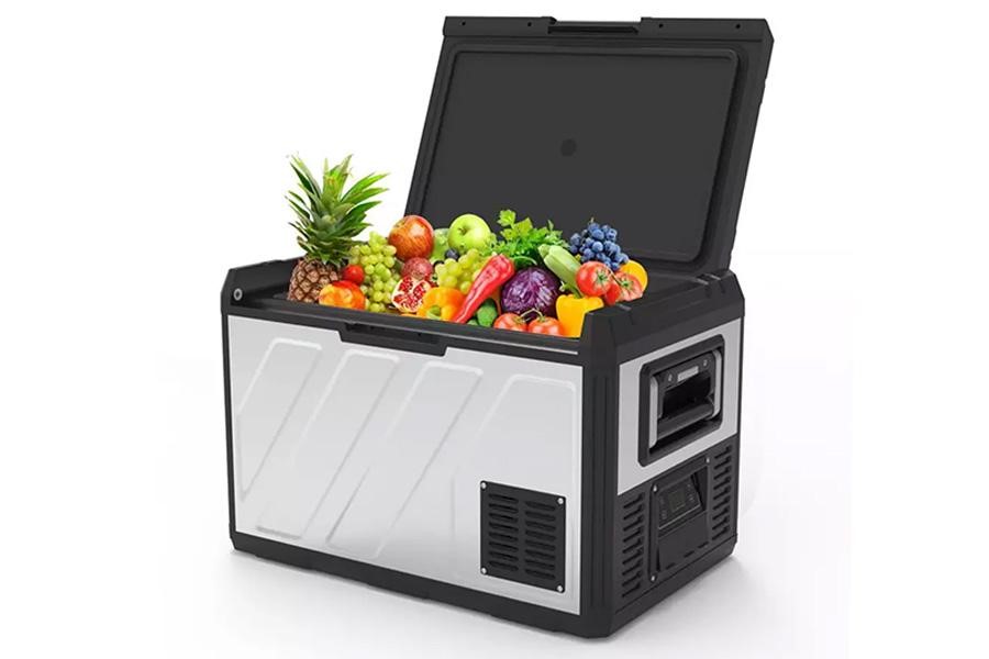 Portable car fridge with various fruits in it