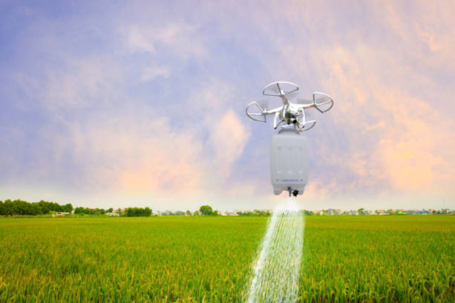A drone in flight spraying insecticide in a rice field