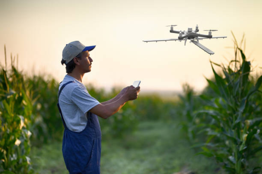 A farmer spraying his crops using a drone sprayer