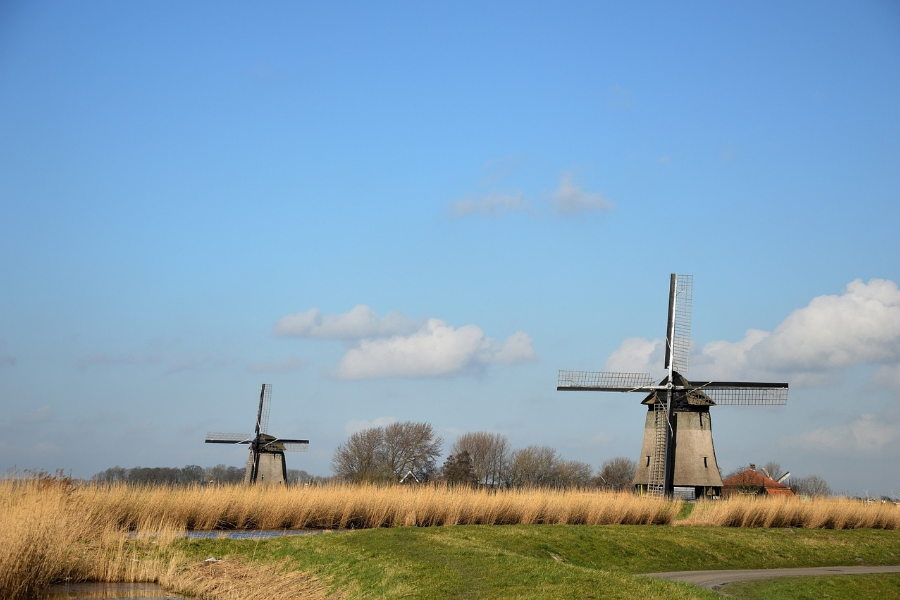 Wind turbines in a rural area