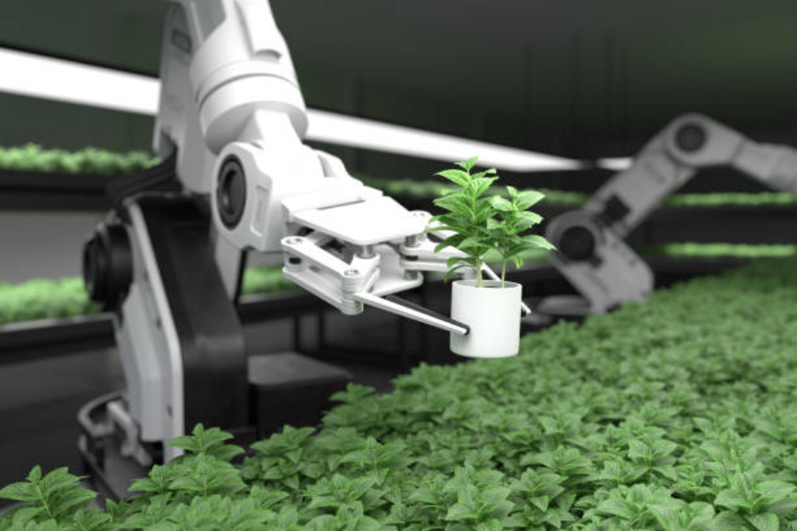 A farm robot putting seedlings in order